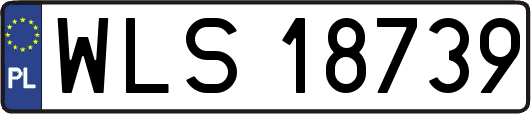 WLS18739
