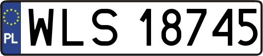 WLS18745