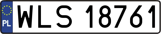 WLS18761