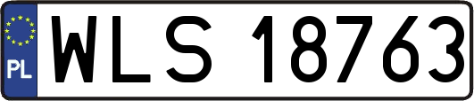 WLS18763