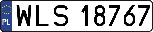WLS18767