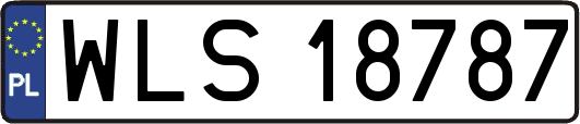 WLS18787