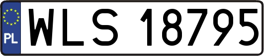 WLS18795