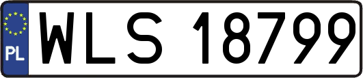 WLS18799