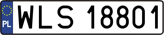 WLS18801