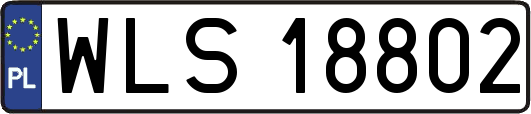 WLS18802