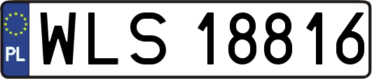WLS18816