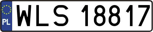 WLS18817