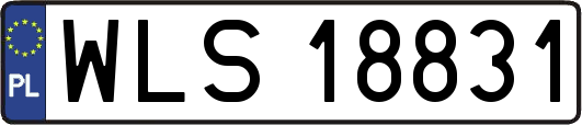 WLS18831