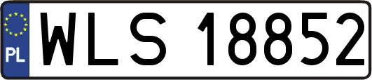 WLS18852