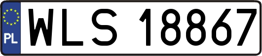 WLS18867