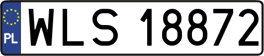 WLS18872