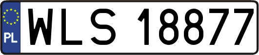 WLS18877
