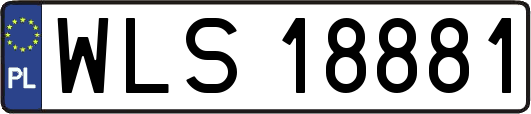 WLS18881
