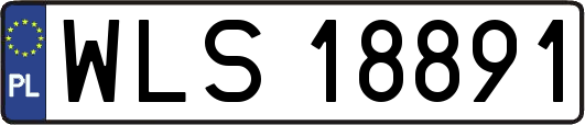WLS18891