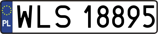 WLS18895