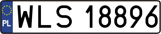 WLS18896