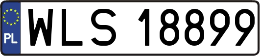 WLS18899