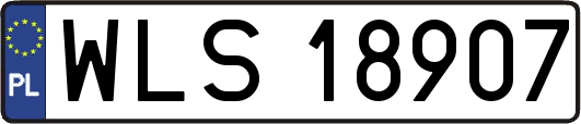 WLS18907