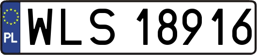 WLS18916