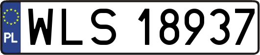 WLS18937