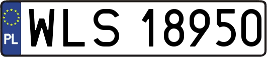 WLS18950