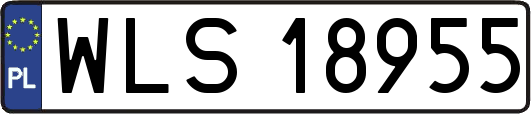WLS18955