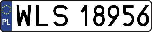 WLS18956