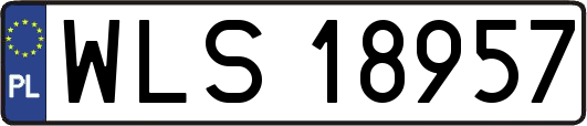 WLS18957