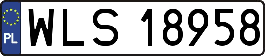 WLS18958