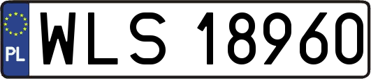 WLS18960
