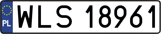 WLS18961