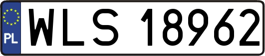 WLS18962