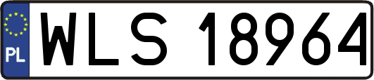 WLS18964
