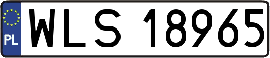 WLS18965