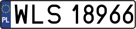 WLS18966