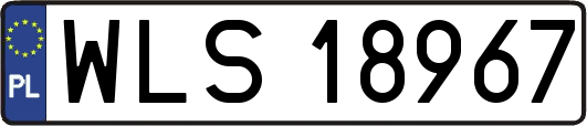 WLS18967