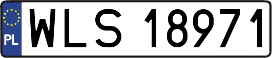 WLS18971