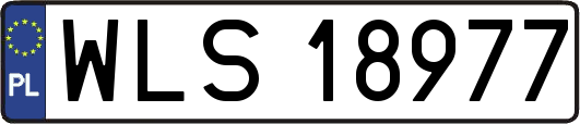 WLS18977