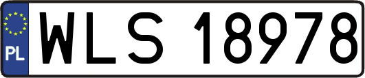 WLS18978