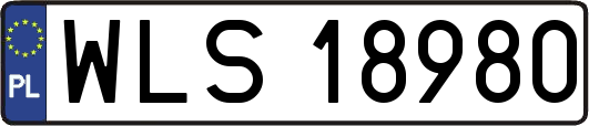 WLS18980