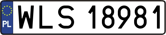 WLS18981