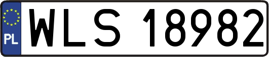 WLS18982