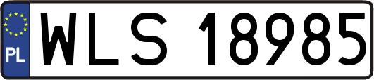 WLS18985