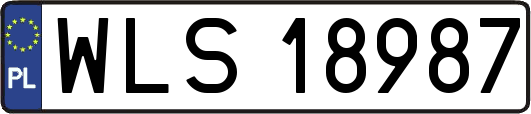 WLS18987