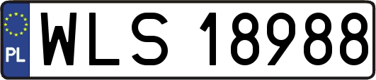 WLS18988