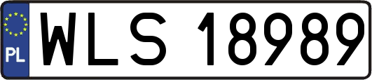 WLS18989