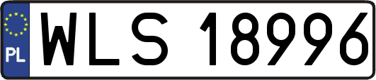 WLS18996