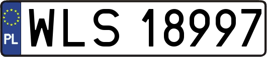 WLS18997