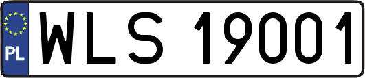 WLS19001